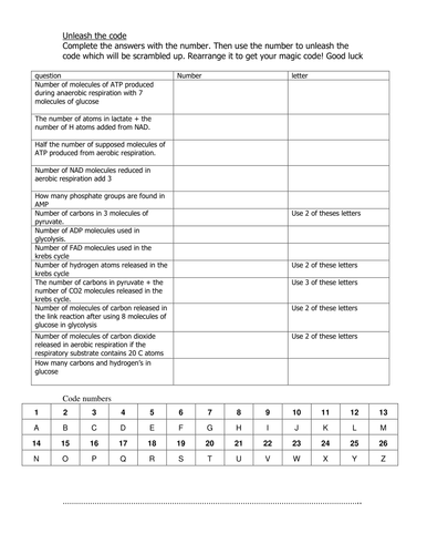 Activity: Cellular Respiration