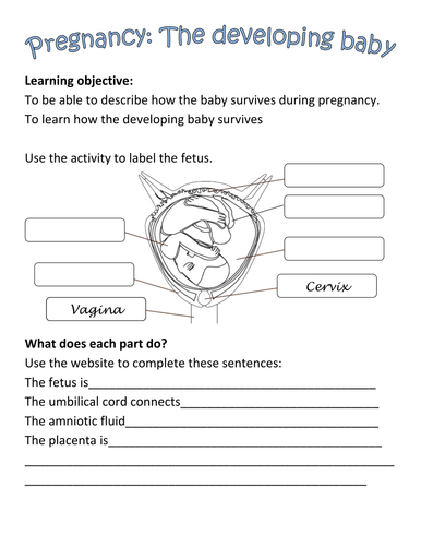 Printable Pregnancy Worksheets 9759