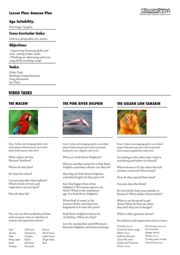 Rainforest Activities | Teaching Resources