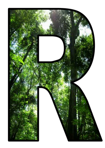 rainforest lettering teaching resources