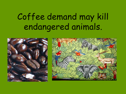 The real price of coffee - starter