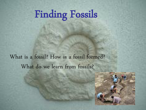 Finding Fossils