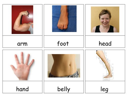 Body Parts