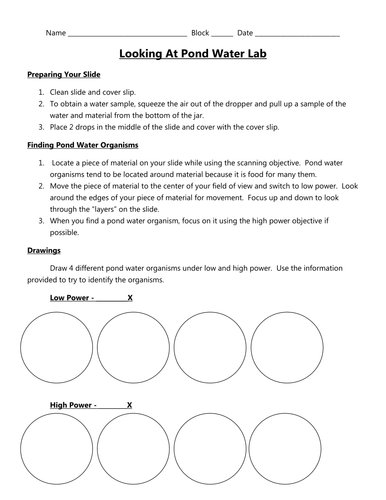 Pond Water Lab | Teaching Resources