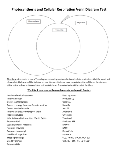 Photosynthesis Cellular Respiration Venn Diagram Teaching