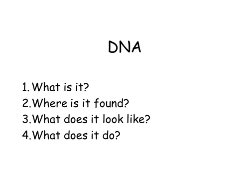 DNA Bracelet