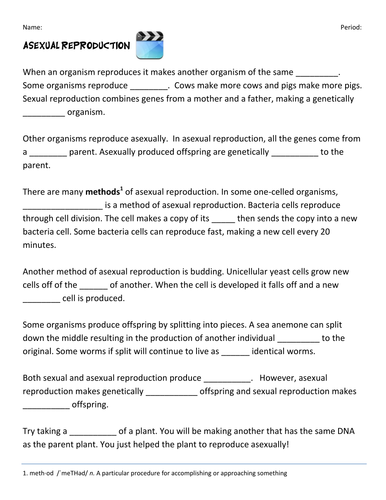 Class 7 Nso Worksheet 01 Reproduction In Plants Model Question Year 7