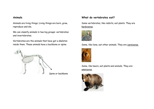 Animals classification and characteristics