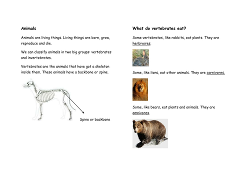Animals classification and characteristics | Teaching Resources