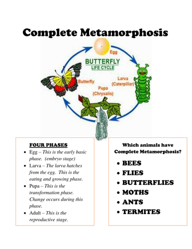 Chart for students to complete. by thistledoo - UK Teaching Resources - TES