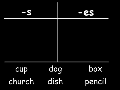 Adding -s and -es to Words Activity | Teaching Resources