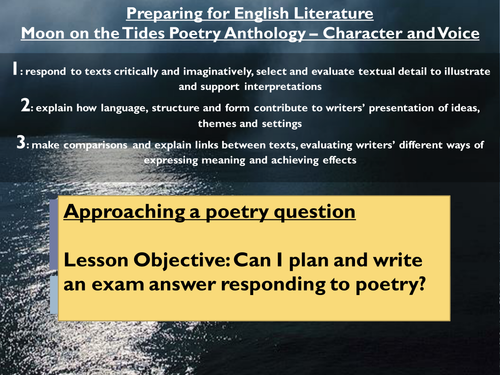 Academic Writing:  Moon on the Tides