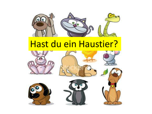 Hast du ein Haustier?