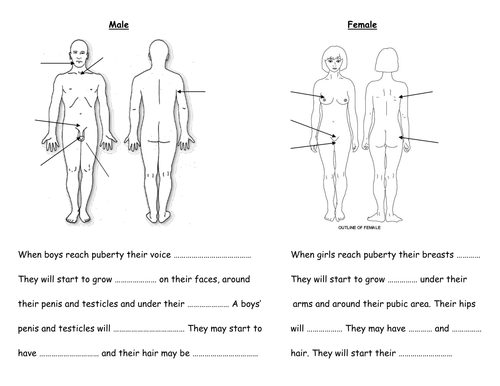 Printables Puberty Worksheets differentiated puberty body changes worksheets by fairykitty teaching resources tes