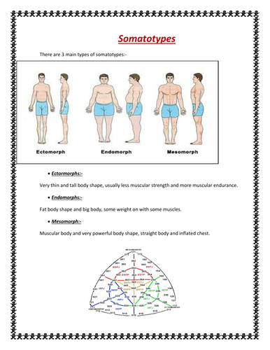 how to find out your somatotype