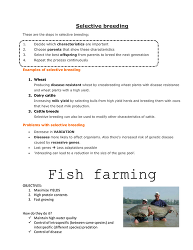 Selective breeding | Teaching Resources