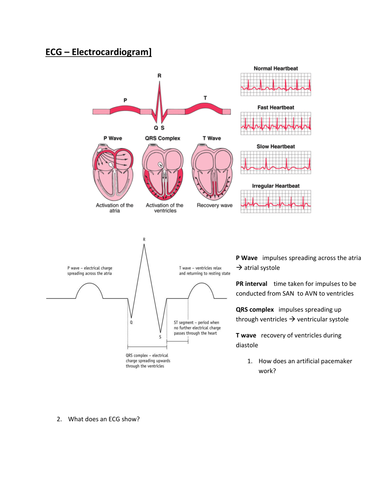 Cardiac cycle & ECG by lpratt - Teaching Resources - TES