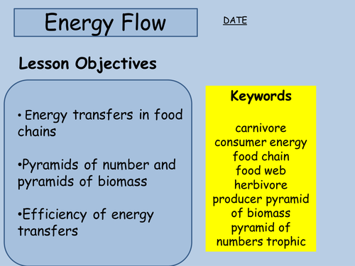 Food chains and Food webs
