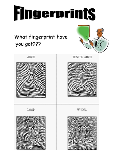 forensics fingerprint cards | Teaching Resources
