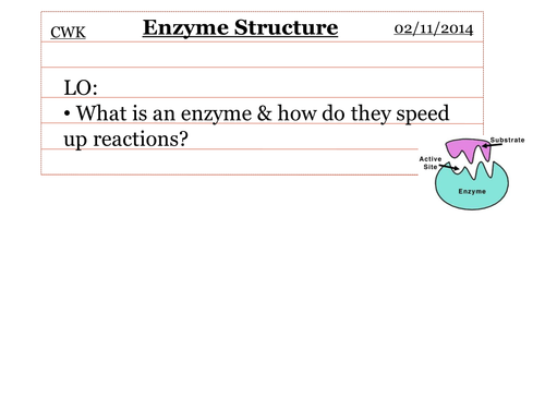 The structure of enzymes