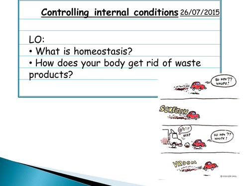 An introduction to homeostasis