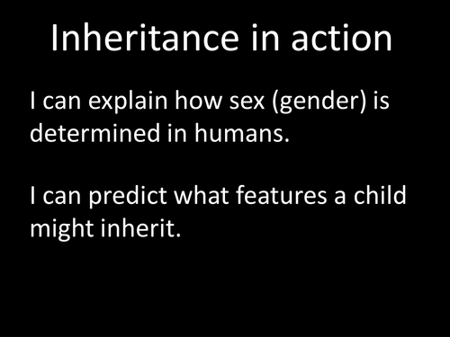 Punnett Squares: Inheritance in Action