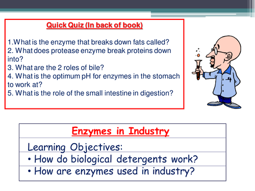 Industrial uses of Enzymes