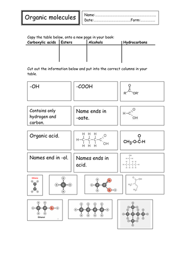 Organic Molecules Graphic Organizer | Teaching Resources