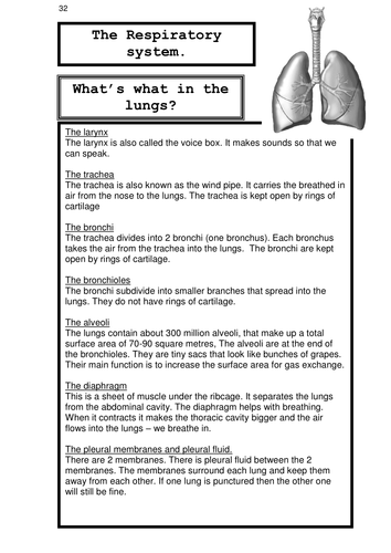 RESPIRATION handout