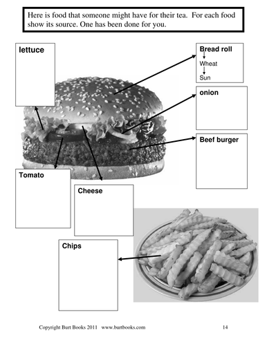 Where does our food come from(5)