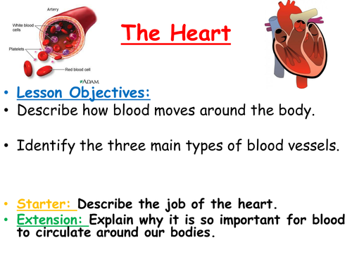 the-heart-teaching-resources