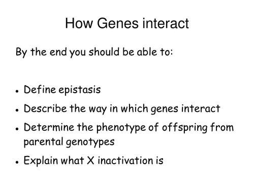 Epistasis (Genetics and Inherited Traits)