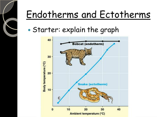 Endotherms and ectotherms by mba06ht - Teaching Resources - TES