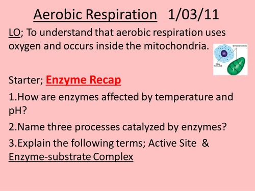 Aerobic Respiration PP | Teaching Resources