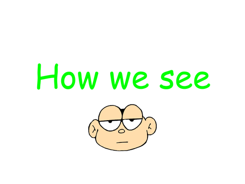 How We See