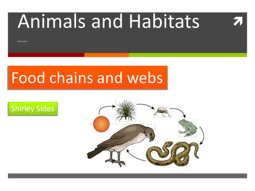 Food chains