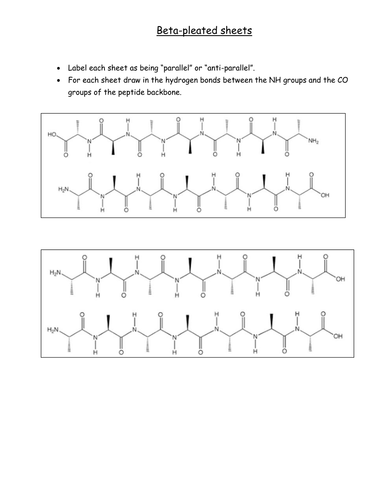 Beta sheets
