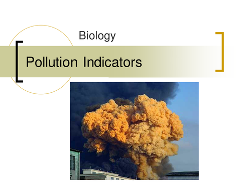 Pollution Indicators