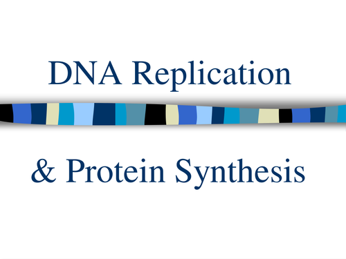 DNA Replication & Protein Synthesis recap.