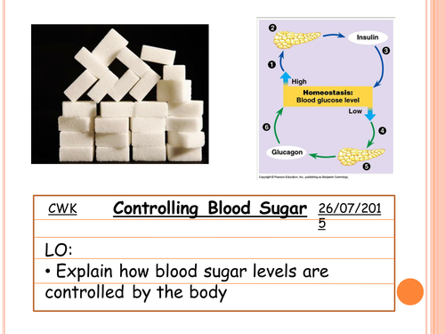 Glucose Homeostasis