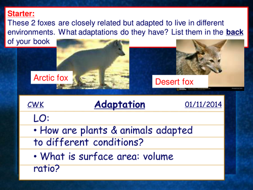 Adaptations for Survival