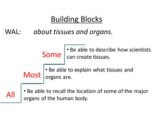 Cells; tissues & organs - Grade 6-8