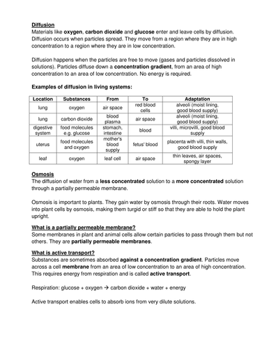 Biology Review Notes
