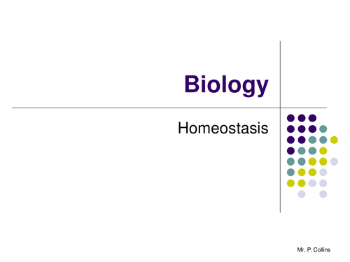 Biology review (Part 7)