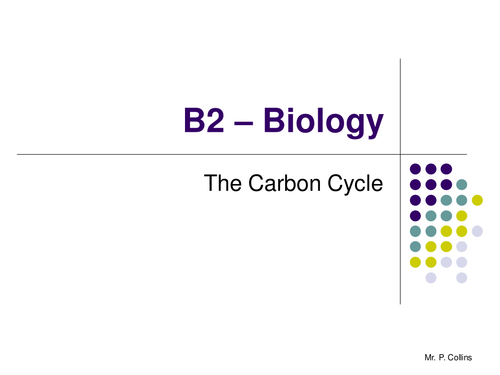 The Carbon Cycle