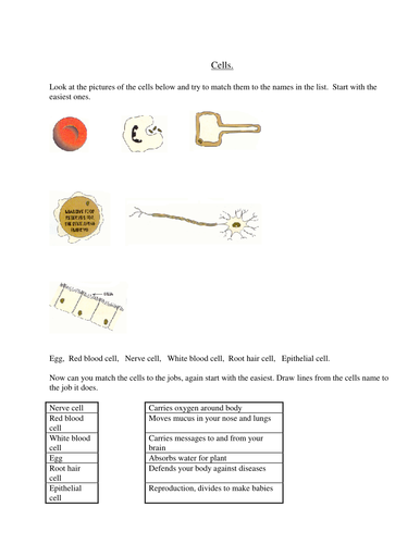 A Selection of Resources on Cells