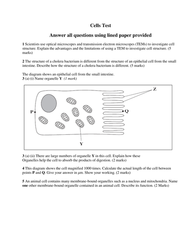 Test On Cell Organelles Teaching Resources