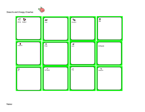 Insects and Creepy Crawlies