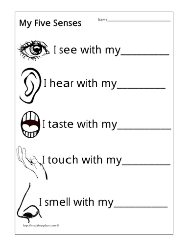 Senses; Hearing; Sight; Taste; Smell; Touch