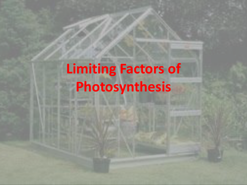 Limiting Factors of Photosynthesis